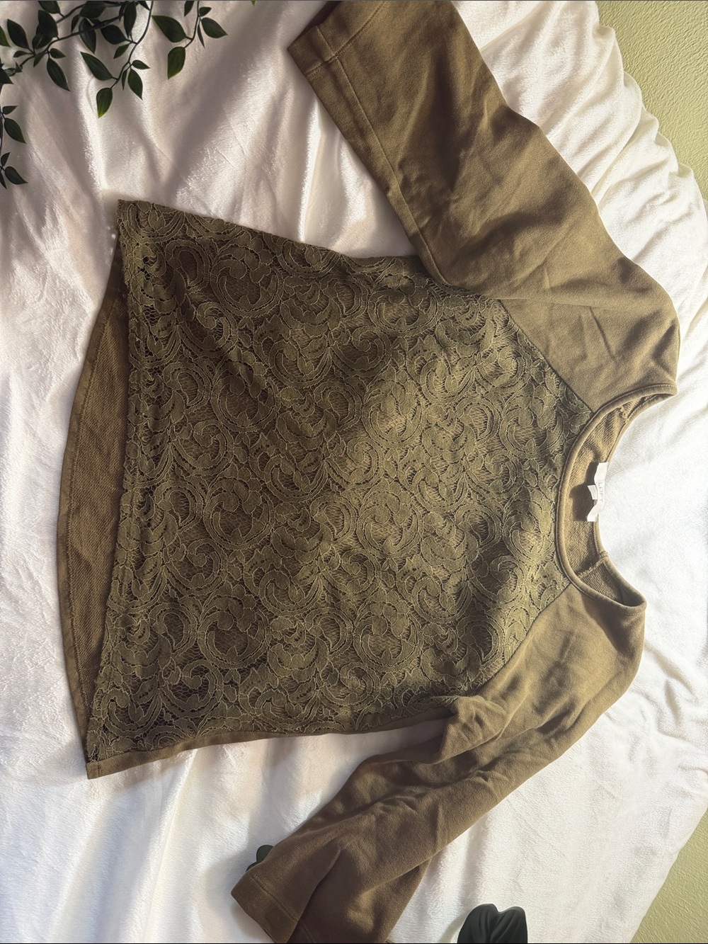 LOFT Olive Lace-Front Crewneck Sweater